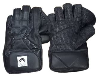 Wicket-Keeping Gloves Elite | Latest Pro-Grade Protection & Comfort
